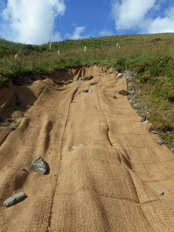 Installing coir geotextile as part of landslide management trial plots